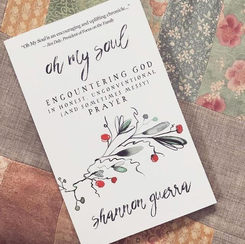 the Oh My Soul series: Encountering God in Honest, Unconventional (and Sometimes Messy) Prayer