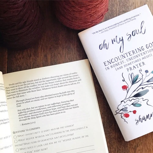 Oh My Soul Companion Journal: Encountering God in Honest Prayer